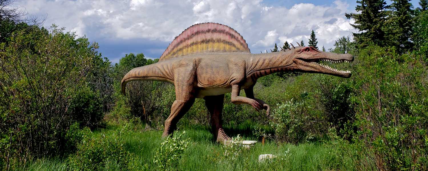 Life-size animatronic Spinosaurus stalking through the forest at Jurassic Forest dinosaur park near Edmonton Alberta